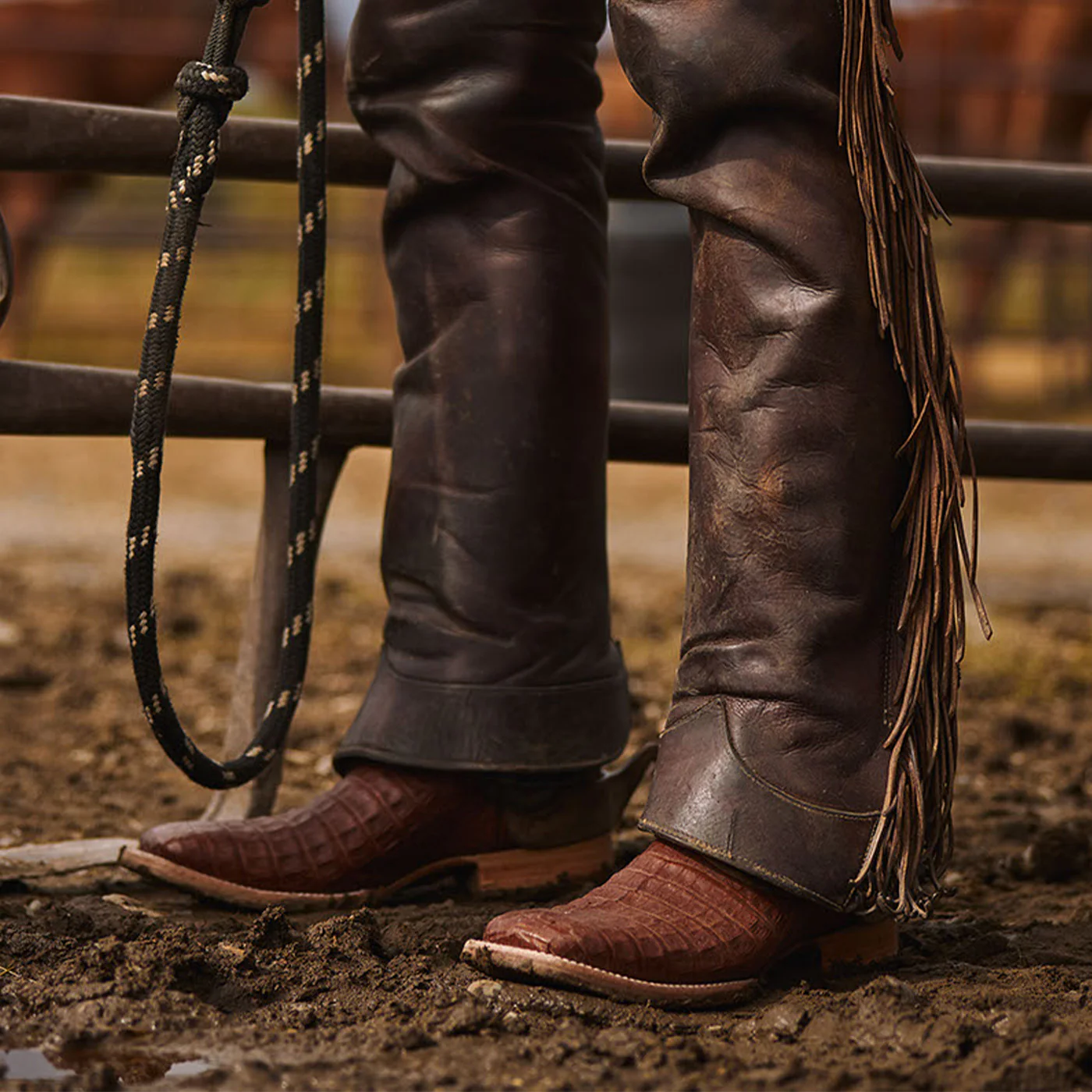 Durango® Men's PRCA Collection Caiman Belly Western Boot - Image 3